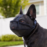 Bozal de malla transpirable para perro | ajustable, tallas XXS a L
