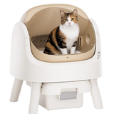 Caja de arena autolimpiante para gato | contenedor de 10 L, limpieza automática