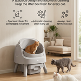 Caja de arena autolimpiante para gato | contenedor de 10 L, limpieza automática