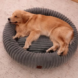Cama tipo dona para perro | borde alto, base antideslizante