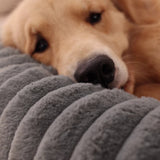 Cama tipo dona para perro | borde alto, base antideslizante