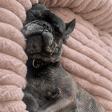 Cama tipo dona para perro | borde alto, base antideslizante