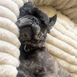 Cama tipo dona para perro | borde alto, base antideslizante
