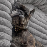 Cama tipo dona para perro | borde alto, base antideslizante