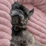Cama tipo dona para perro | borde alto, base antideslizante