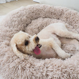 Cama tipo dona para perro | laterales acolchados, funda lavable