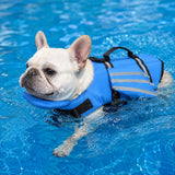 Chaleco salvavidas reflectante para perro | flotador para barbilla, tallas XS a XL