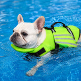 Chaleco salvavidas reflectante para perro | flotador para barbilla, tallas XS a XL