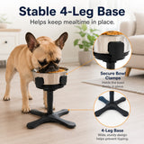 Comedero elevado inclinado para perro | 3 alturas, acero inoxidable