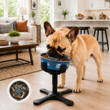 Comedero elevado inclinado para perro | 3 alturas, acero inoxidable