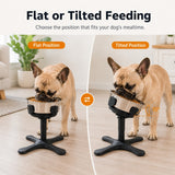 Comedero elevado inclinado para perro | 3 alturas, acero inoxidable