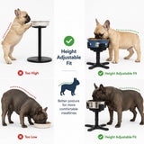 Comedero elevado inclinado para perro | 3 alturas, acero inoxidable