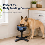 Comedero elevado inclinado para perro | 3 alturas, acero inoxidable