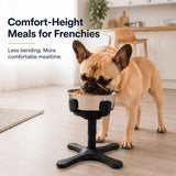 Comedero elevado inclinado para perro | 3 alturas, acero inoxidable