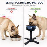 Comedero elevado inclinado para perro | 3 alturas, acero inoxidable