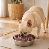 Comedero lento espiral para perro y gato | silicona ajustable, acero inoxidable