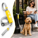 Correa manos libres para perro | enganche rápido, nylon reflectante
