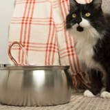 Fuente de agua para gato de acero inoxidable | 4 L, filtro de 3 capas