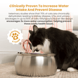 Fuente de agua para gato de acero inoxidable | 4 L, filtro de 3 capas