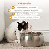 Fuente de agua para gato de acero inoxidable | 4 L, filtro de 3 capas