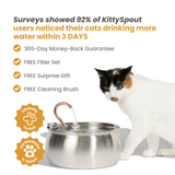 Fuente de agua para gato de acero inoxidable | 4 L, filtro de 3 capas