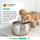 Fuente de agua para gato de acero inoxidable | 4 L, filtro de 3 capas