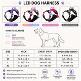 Pechera LED recargable para perro | malla transpirable, tallas S a XL