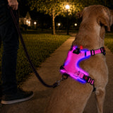 Pechera LED recargable para perro | malla transpirable, tallas S a XL