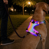 Pechera LED recargable para perro | malla transpirable, tallas S a XL