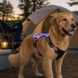 Pechera LED recargable para perro | malla transpirable, tallas S a XL