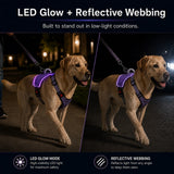 Pechera LED recargable para perro | malla transpirable, tallas S a XL