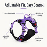 Pechera LED recargable para perro | malla transpirable, tallas S a XL