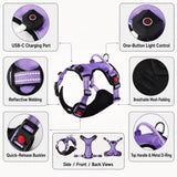 Pechera LED recargable para perro | malla transpirable, tallas S a XL