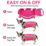 Pechera portadora para perro | malla transpirable, tallas XS a L