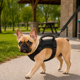 Pechera táctica para perro | ajustable, malla transpirable, talla única