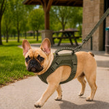 Pechera táctica para perro | ajustable, malla transpirable, talla única