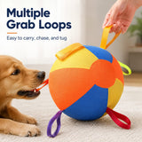 Pelota inflable de juego para perro | PVC, tallas S a L, para interiores y patio