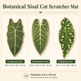 Rascador de sisal adhesivo para gato | diseño botánico, para pared y piso
