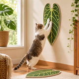 Rascador de sisal adhesivo para gato | diseño botánico, para pared y piso
